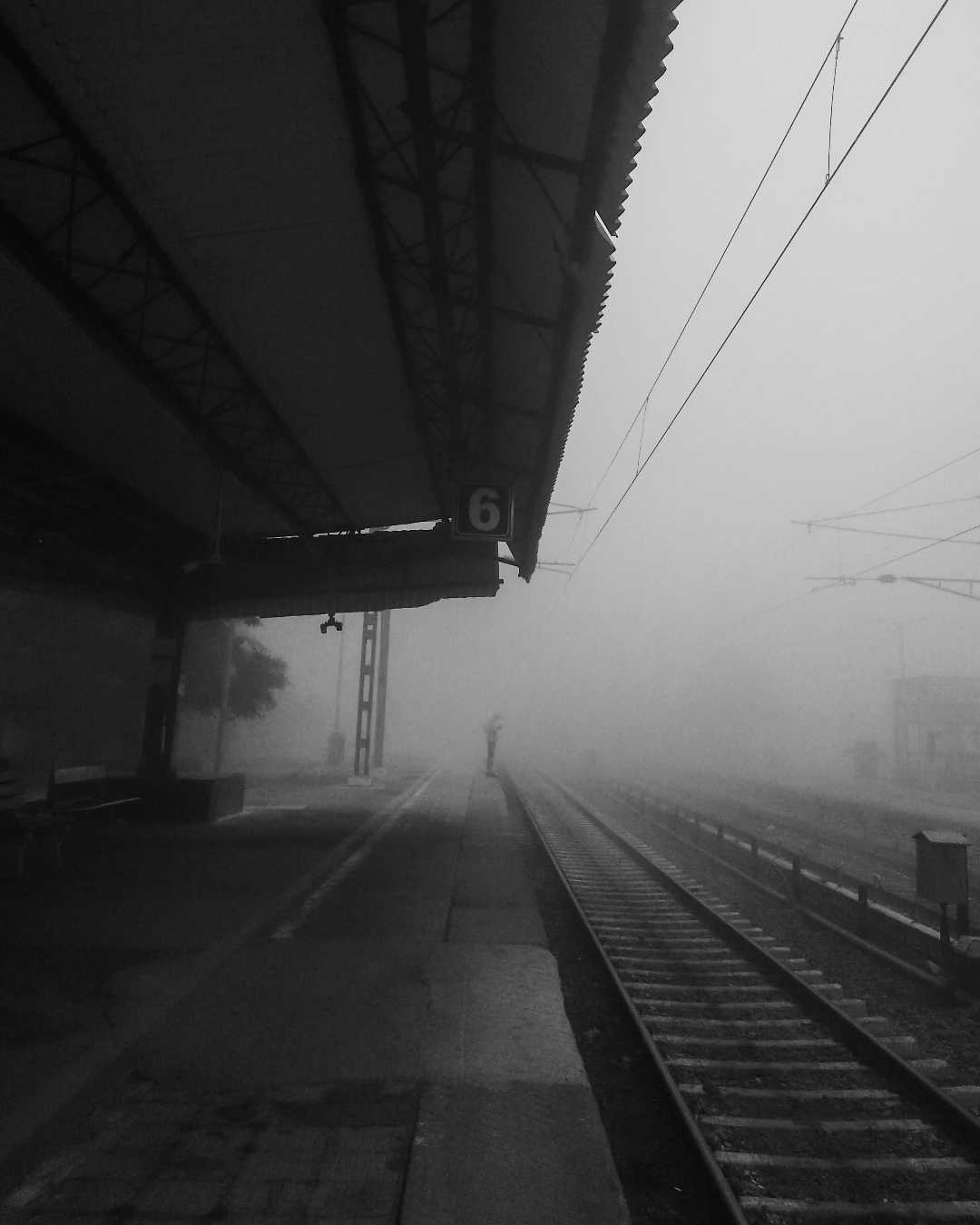 waiting in foggy morning ❤️