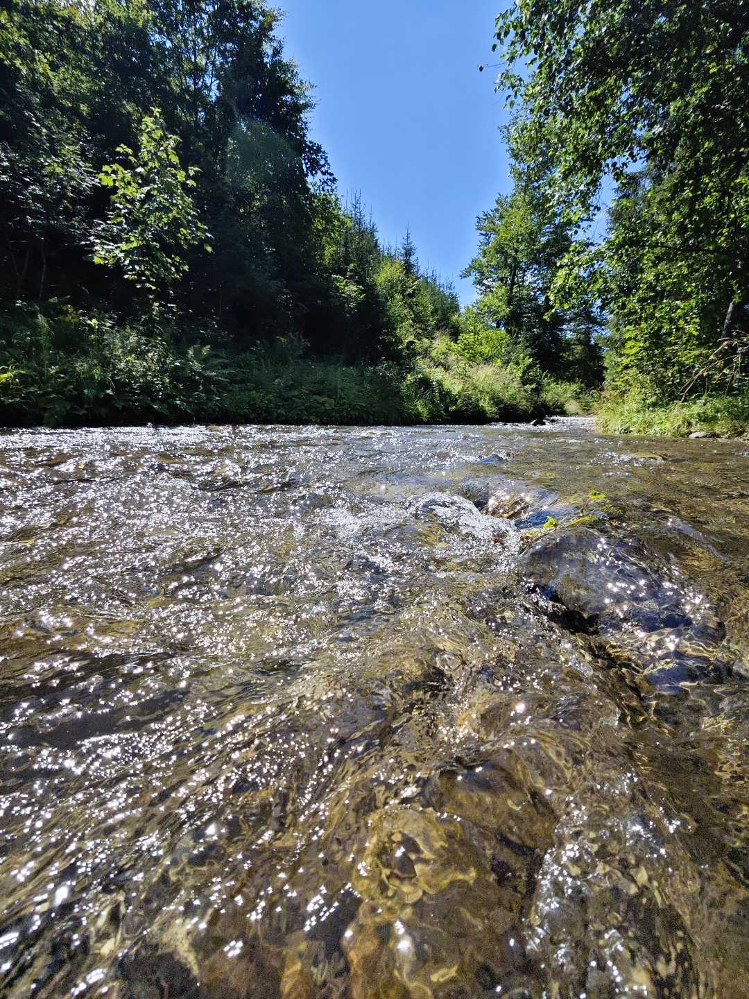 Water... River 🏞️ Amazing place 🩵