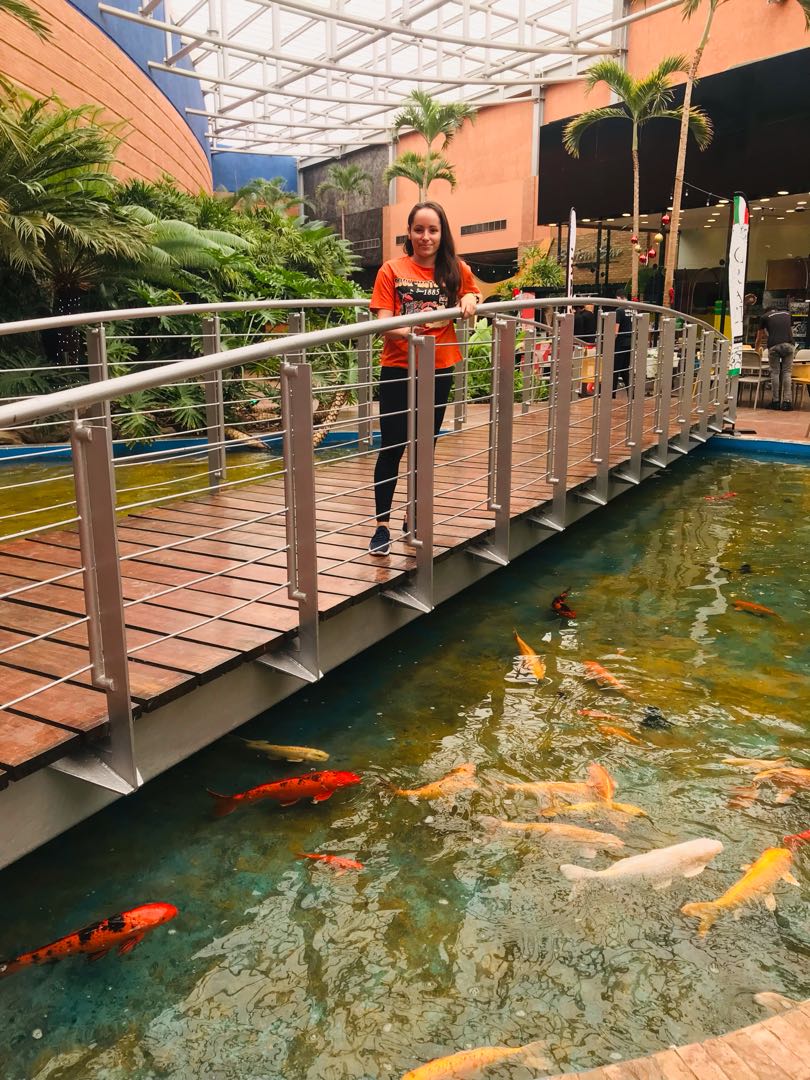 Centro Comercial Sambil