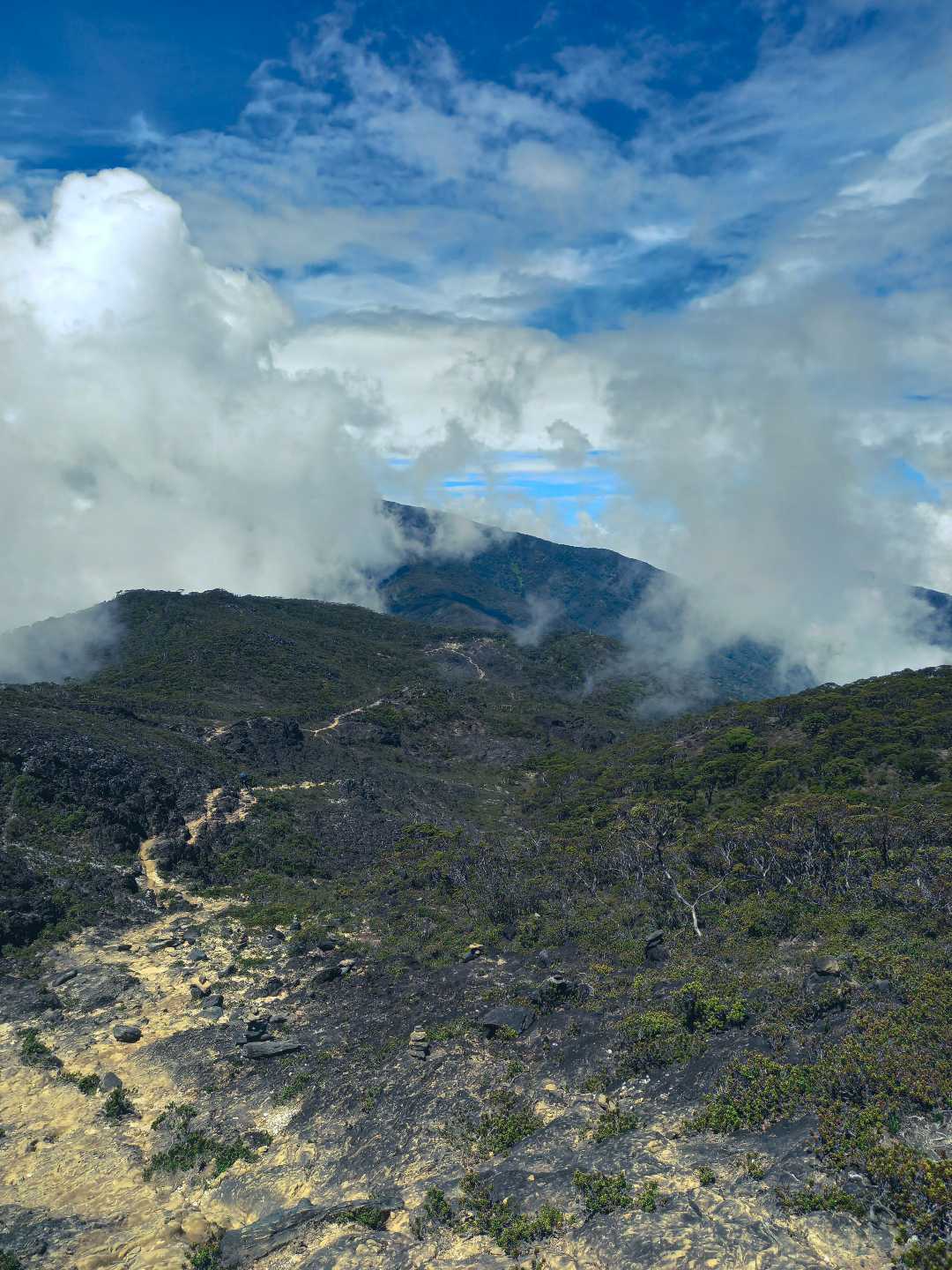 Punggungan pos 7 menujuh pos 8 gunung latimojong