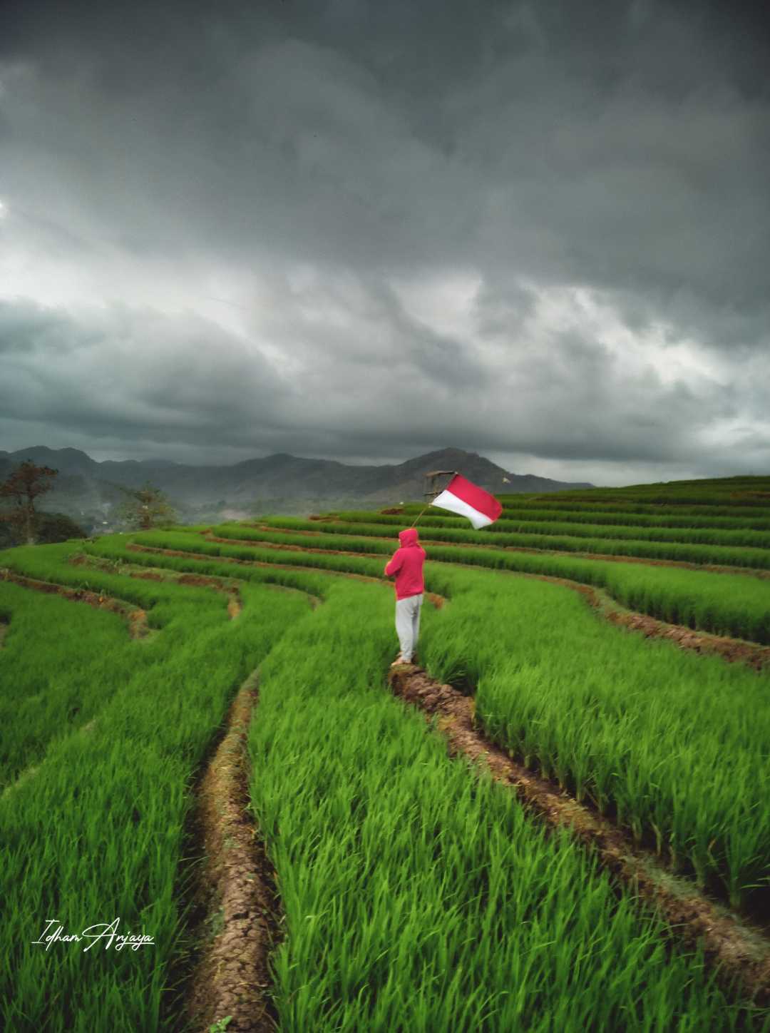 Dirgahayu Republik Indonesia 78