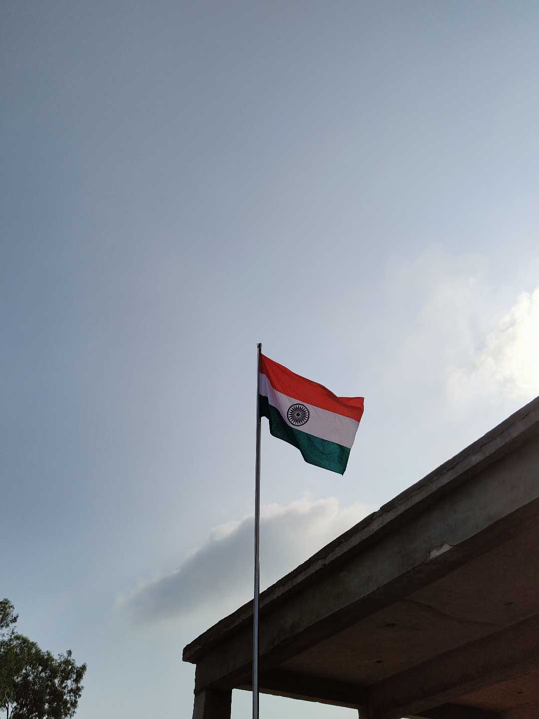 Independence Day 🇮🇳🪷🕊️