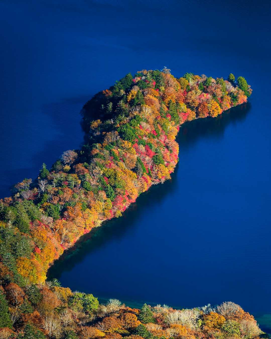 autumn colors
