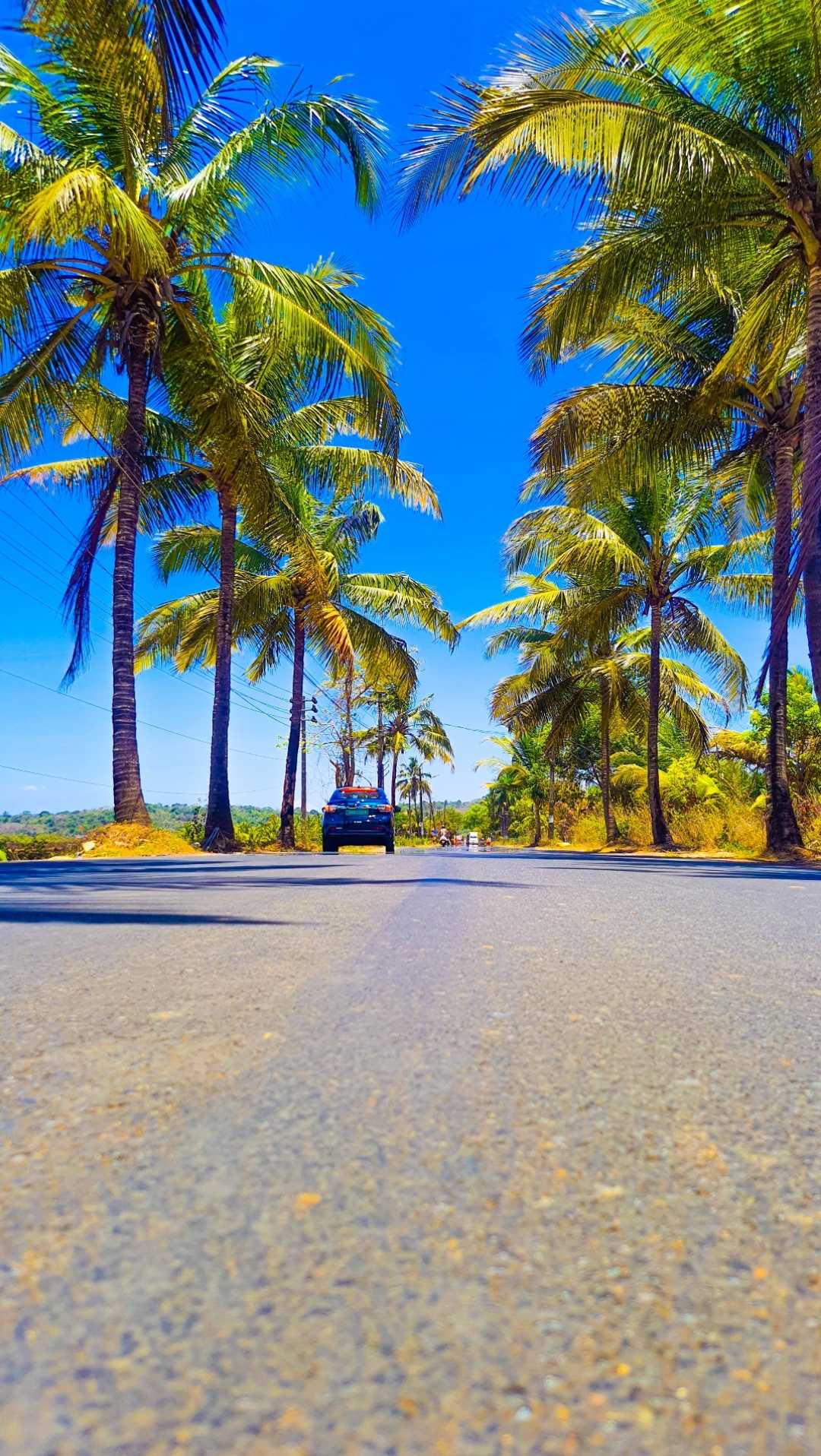 The iconic Parra Road in Goa. A picturesque spot for anyone 
