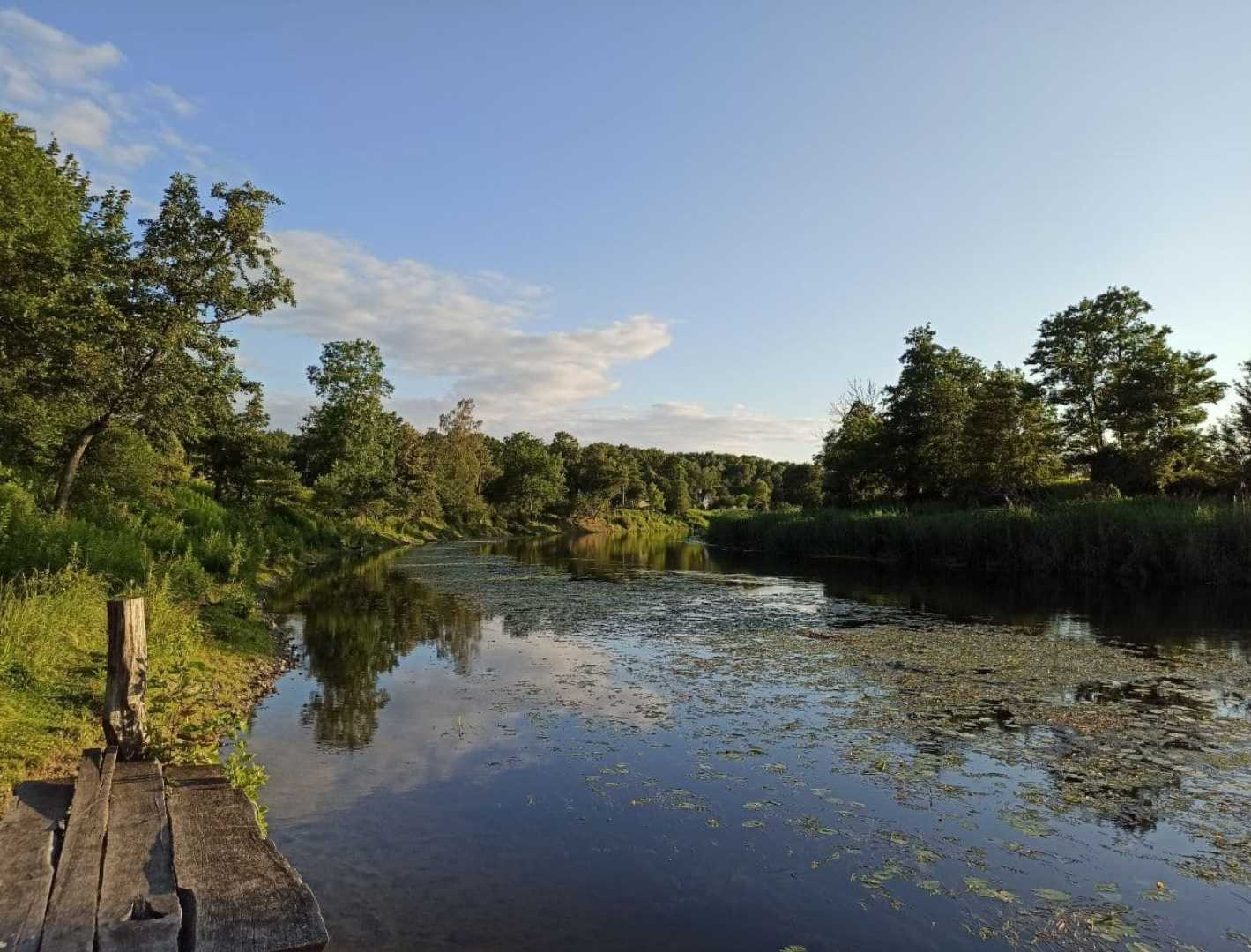 Pregolya river