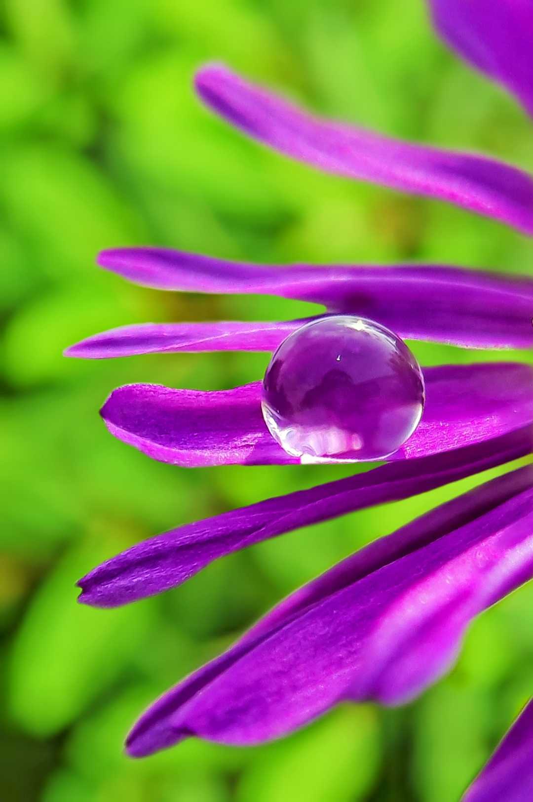 Purple 💜💜