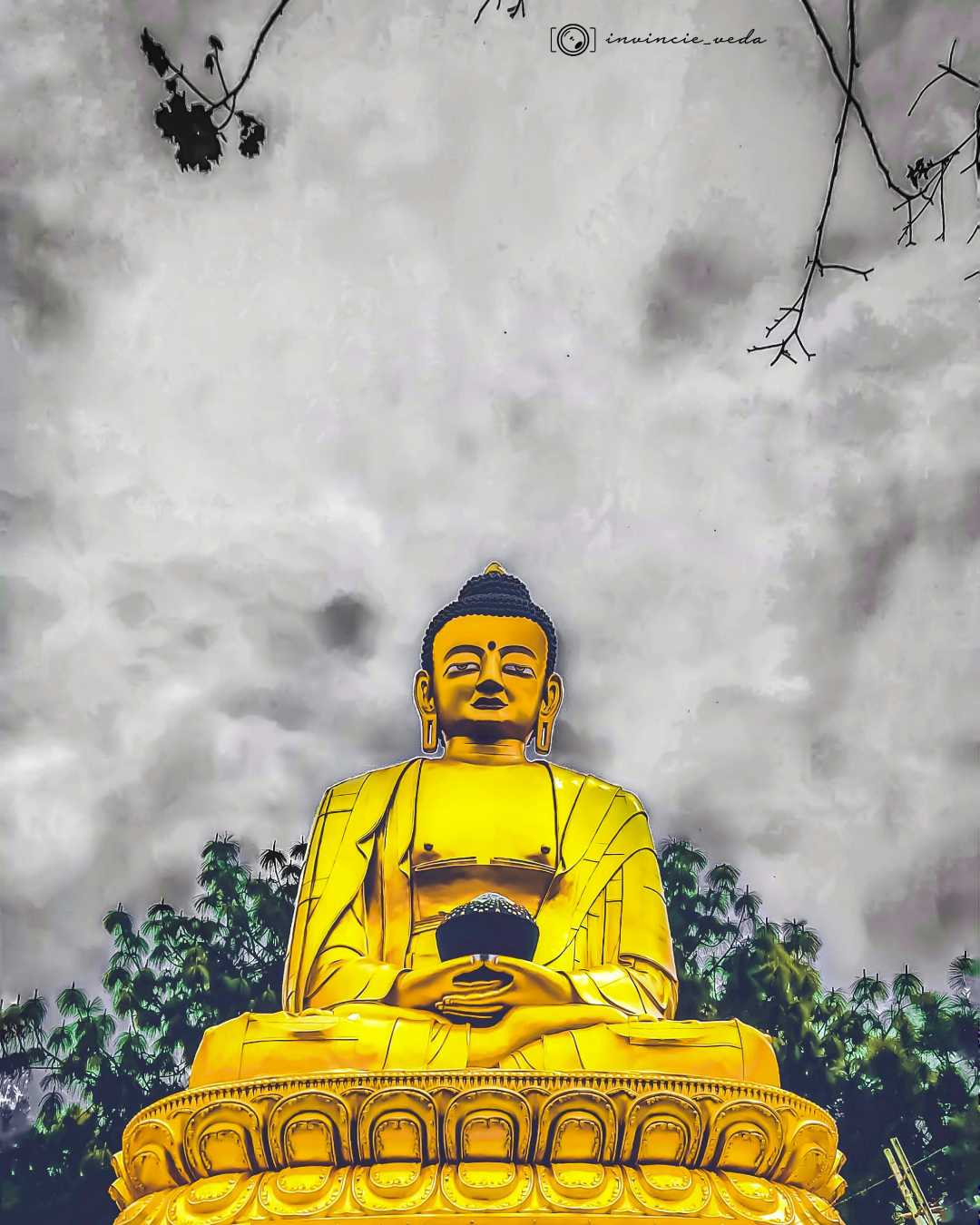 Budha Purnima