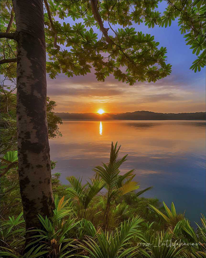 sunset