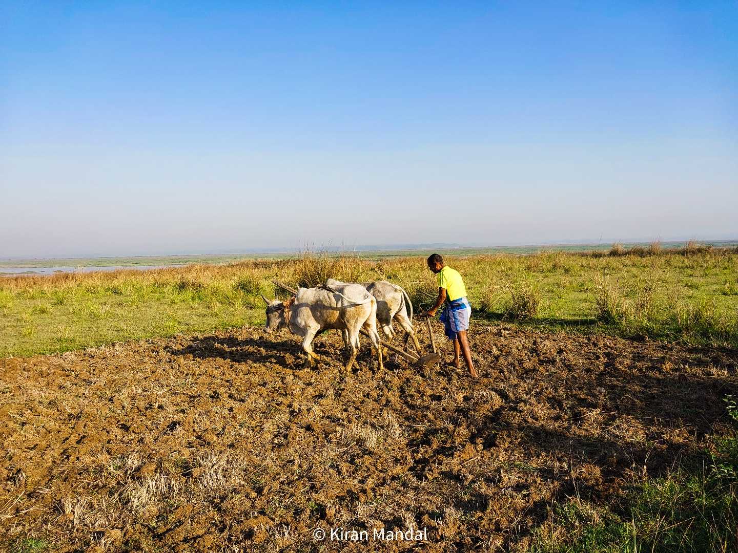 Farming 