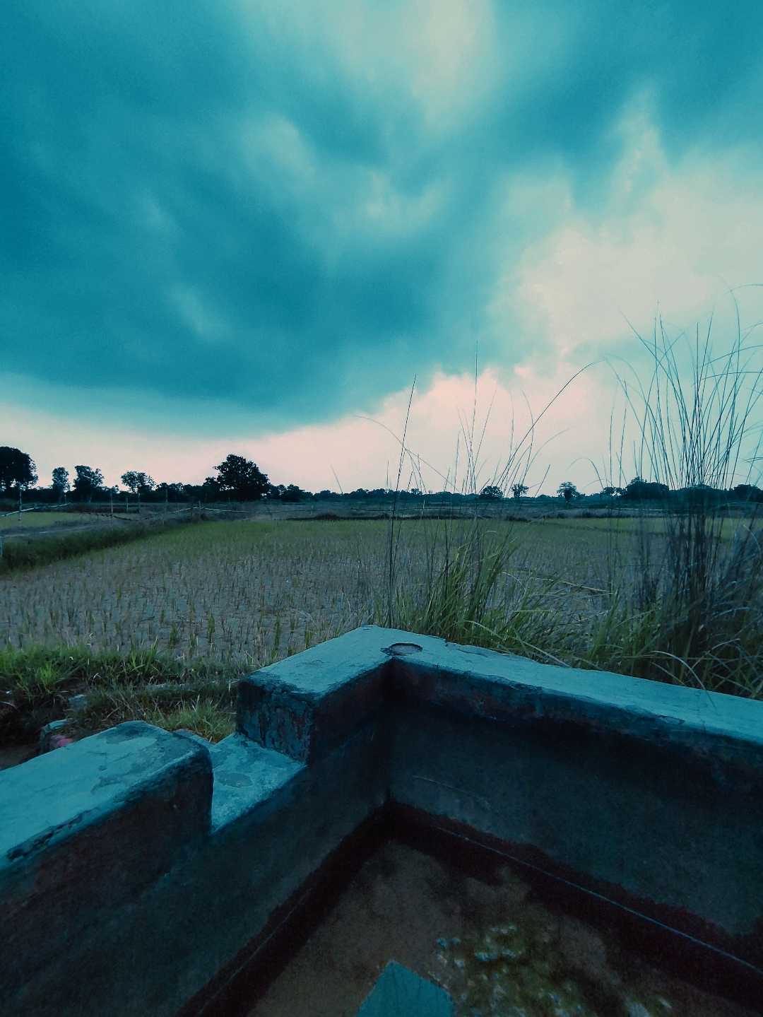 Peaceful Evening 