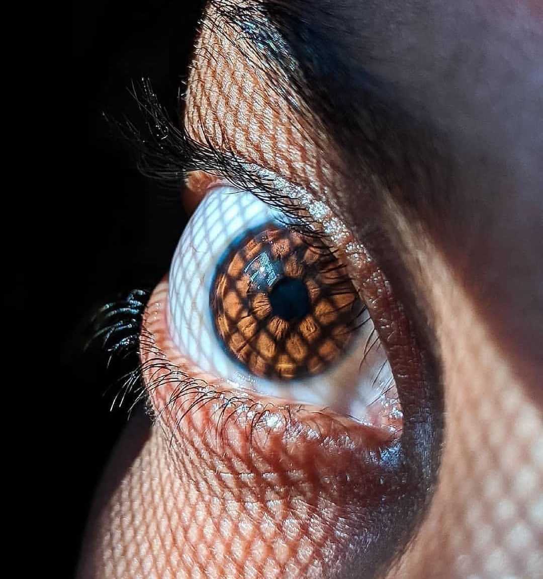 Eyes 👀
