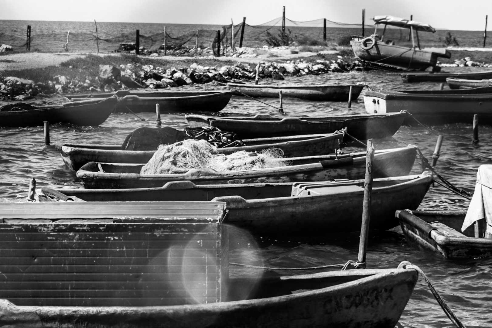 Los Botes