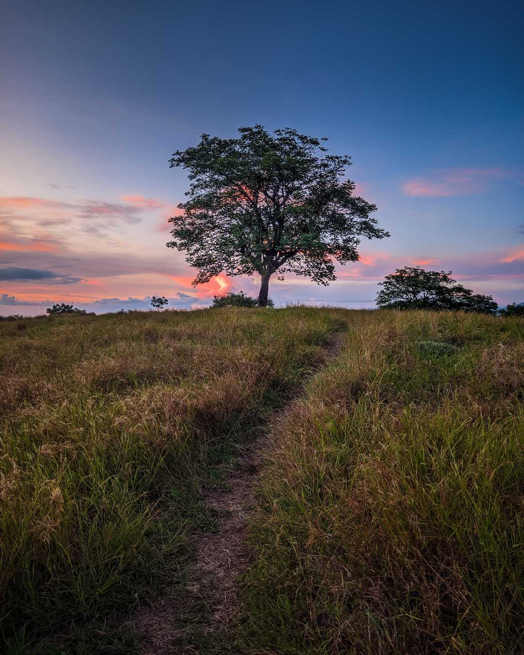 Bukit Sofa / Bukit Perindu