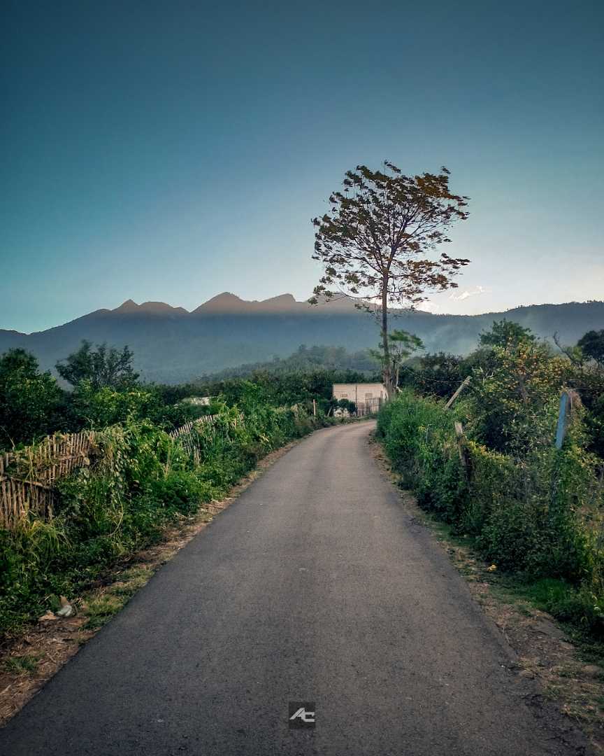 Jalan Menuju Bedengan Camping ground