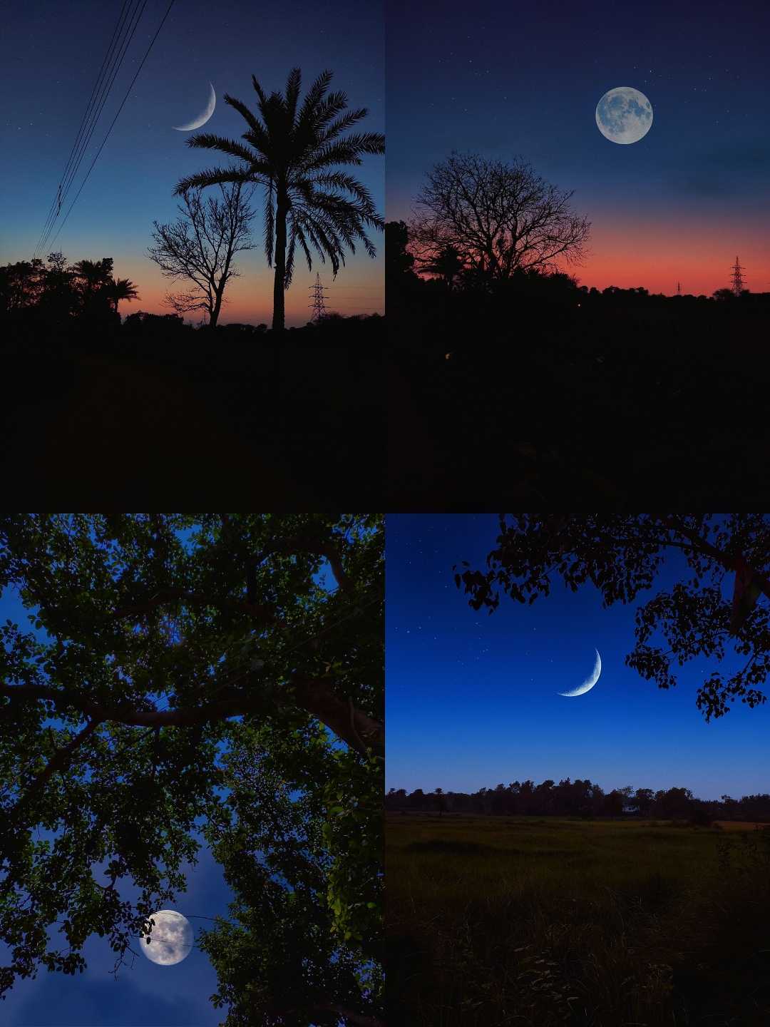 Moon 🌙