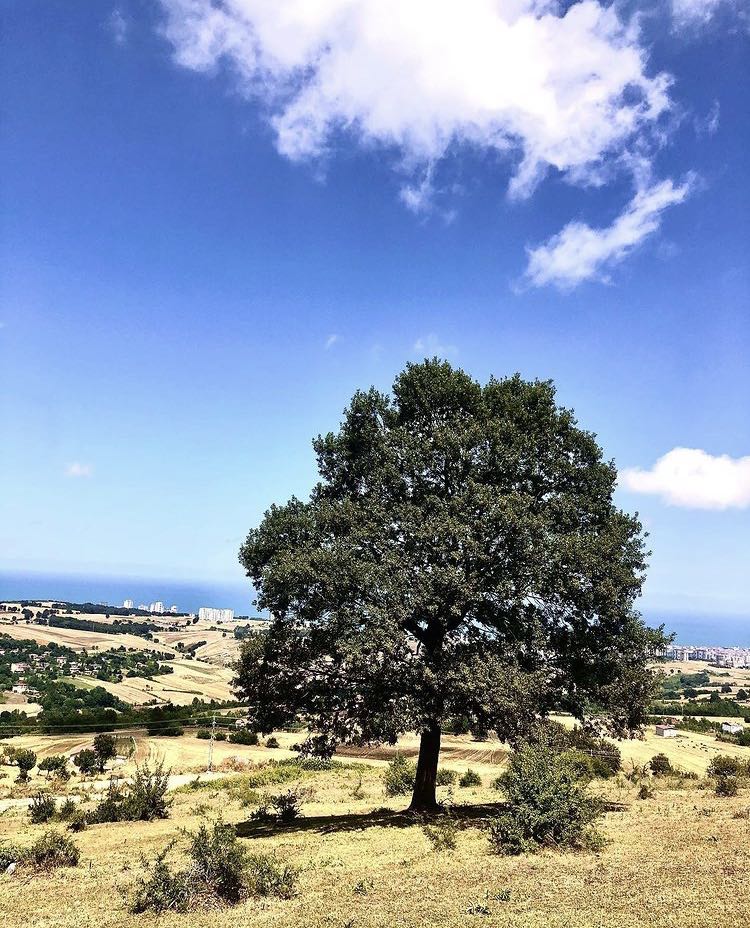Kocadağ⛰