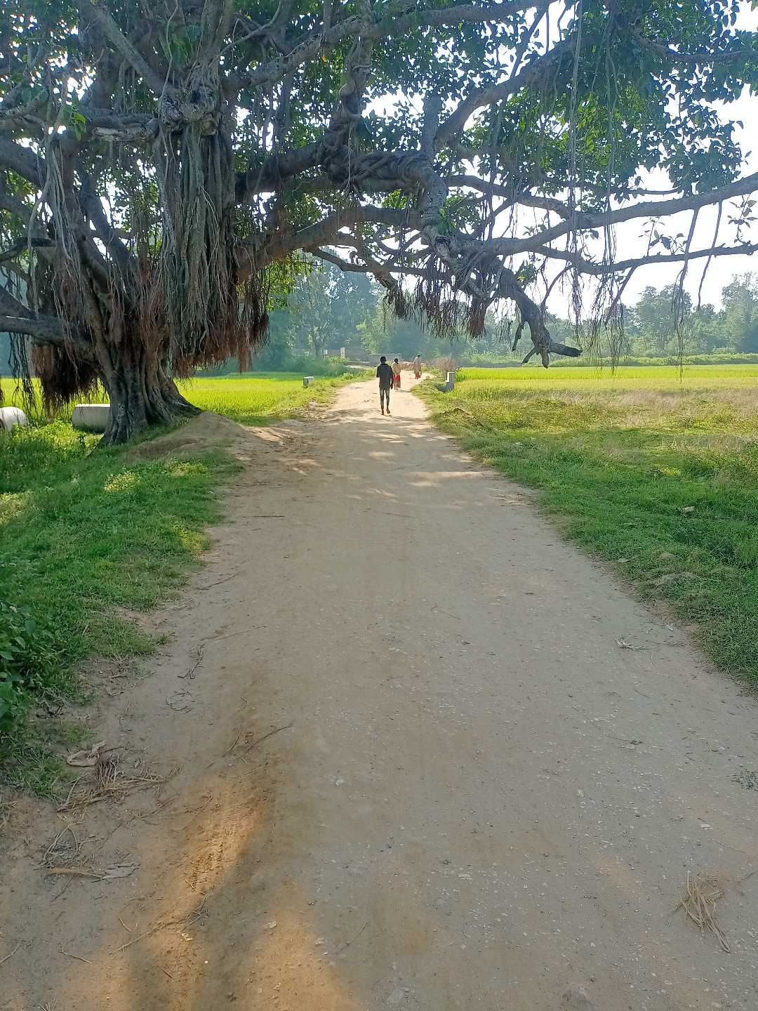 Village Road
