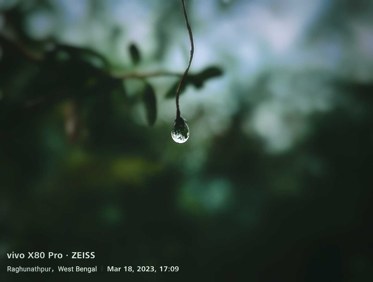 Beauty Of Rain