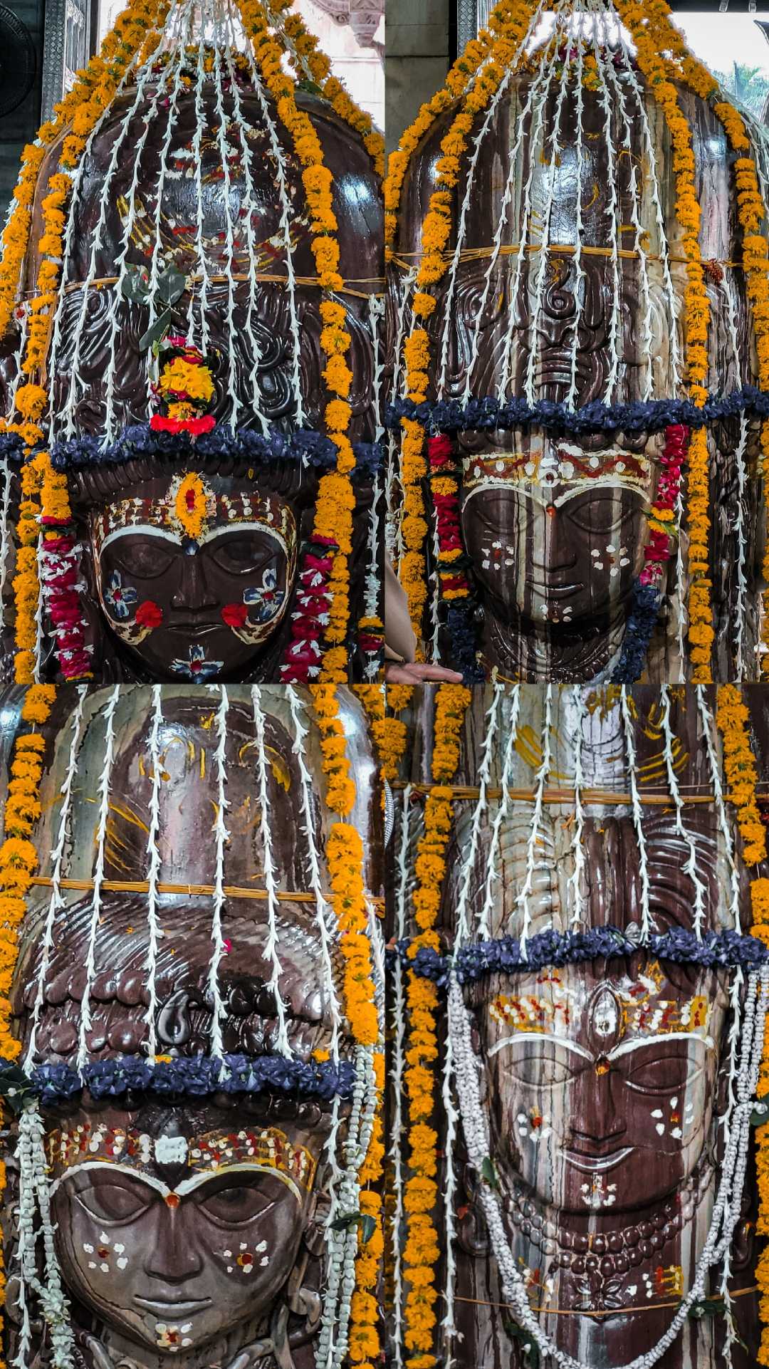 Shiv 🔱