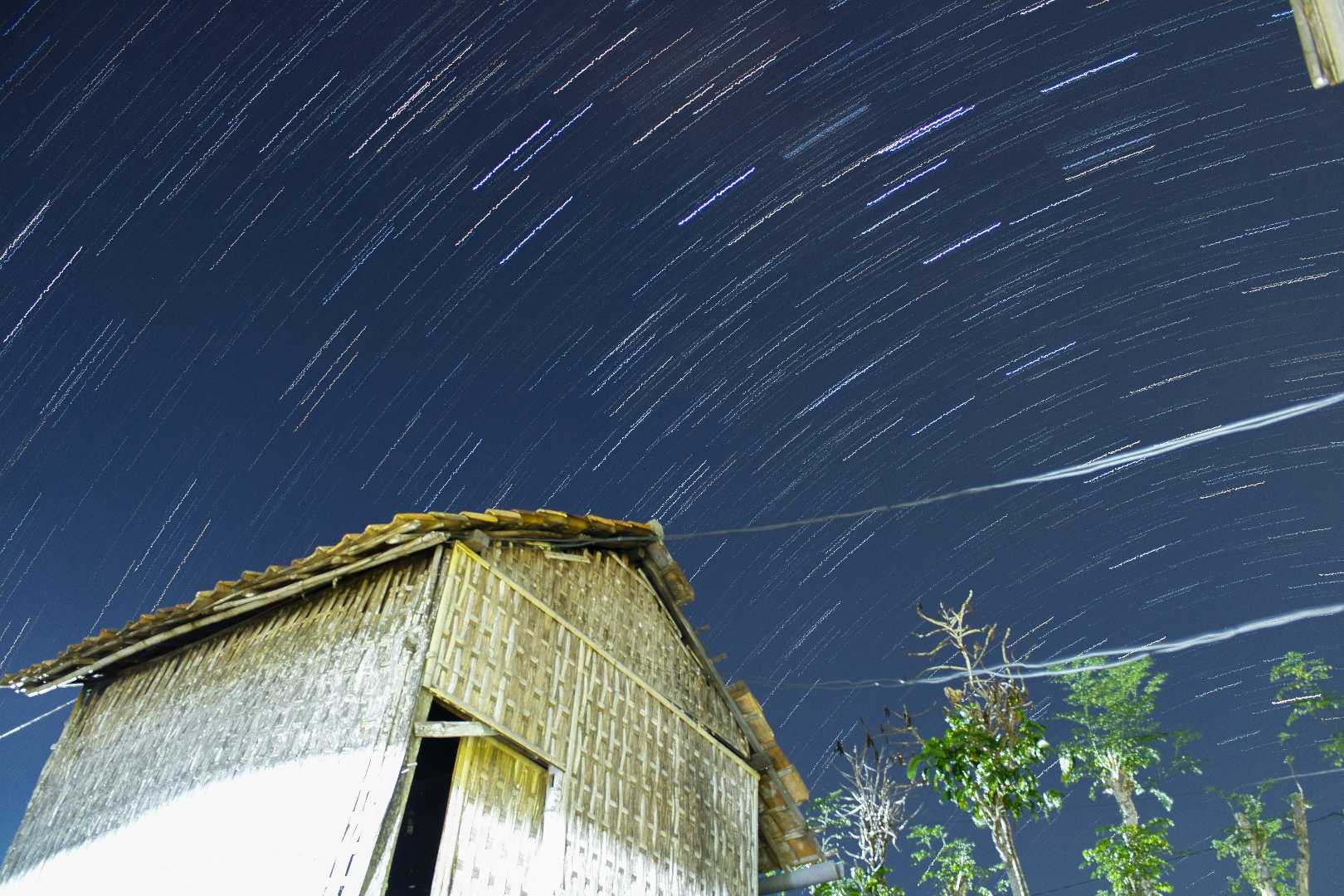 Bintang