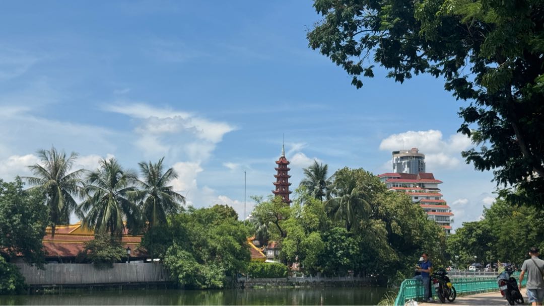 🇻🇳