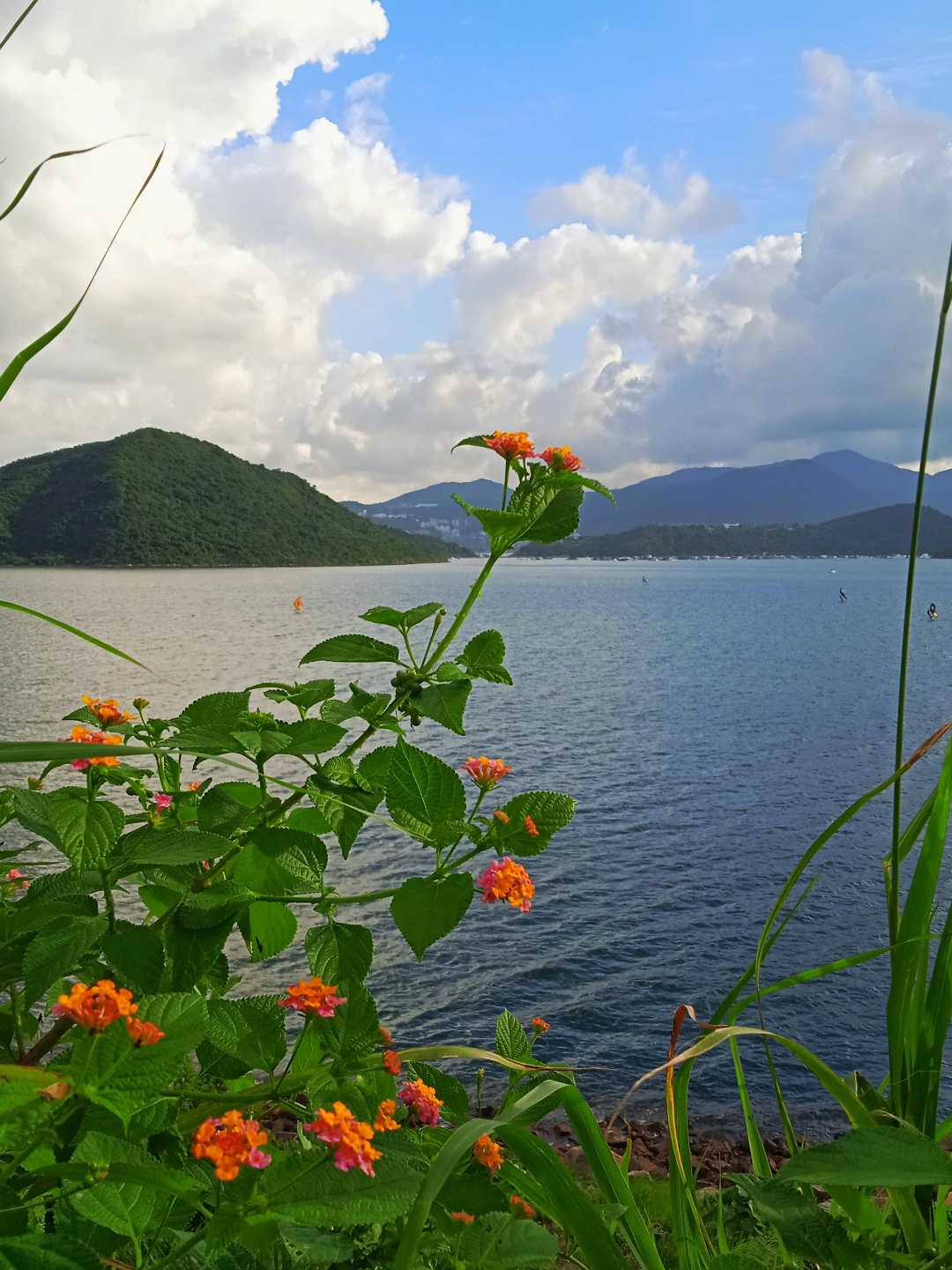 tai Mei tuk