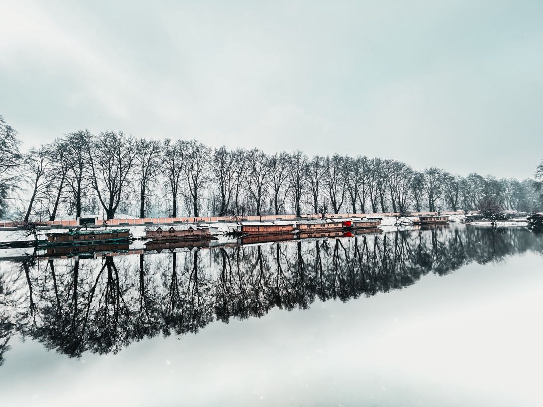 Kashmir
