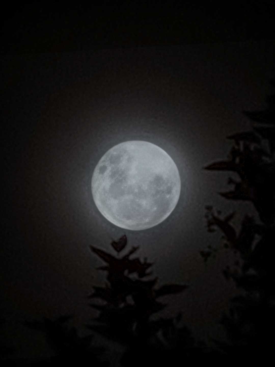 चांद 🌙🌕