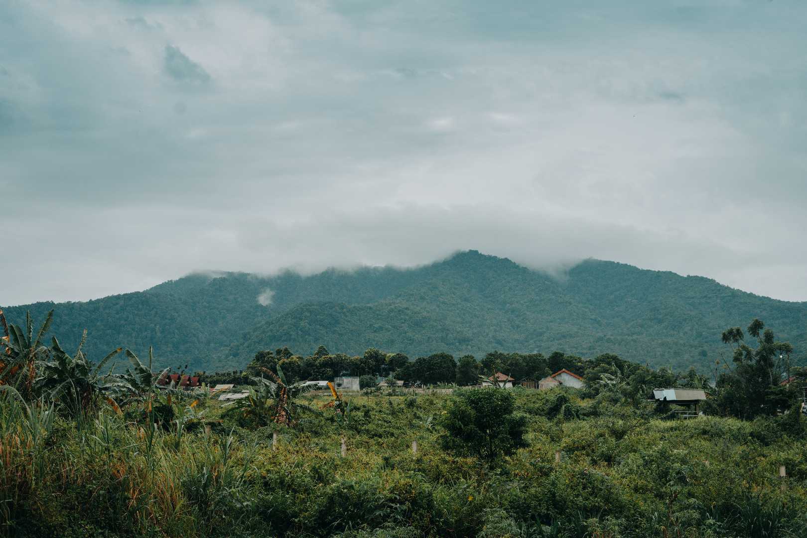 Dibawah Kaki Gunung Pesawaran