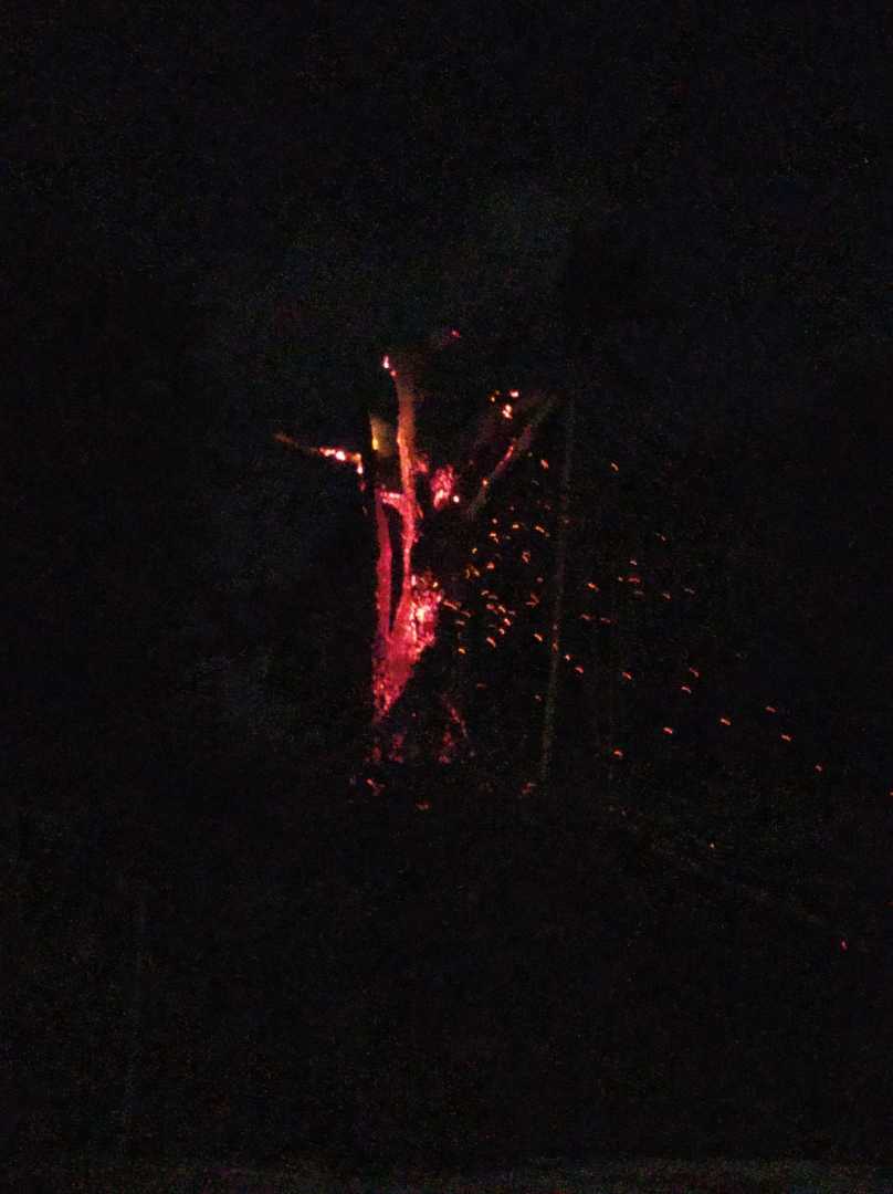 Pohon Durian Terbakar
