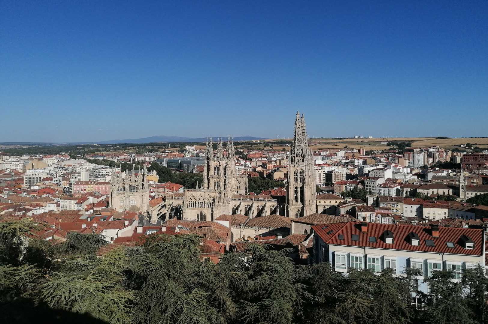 Las agujas de la catedral 💜