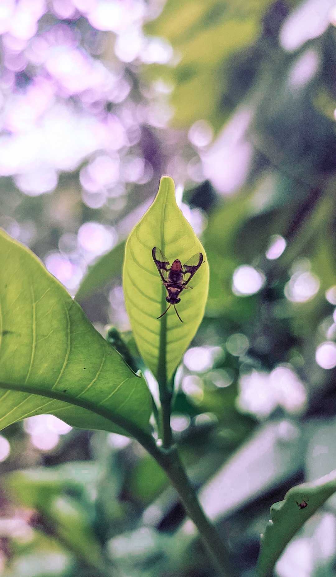 Joy of little things.. 💚💚