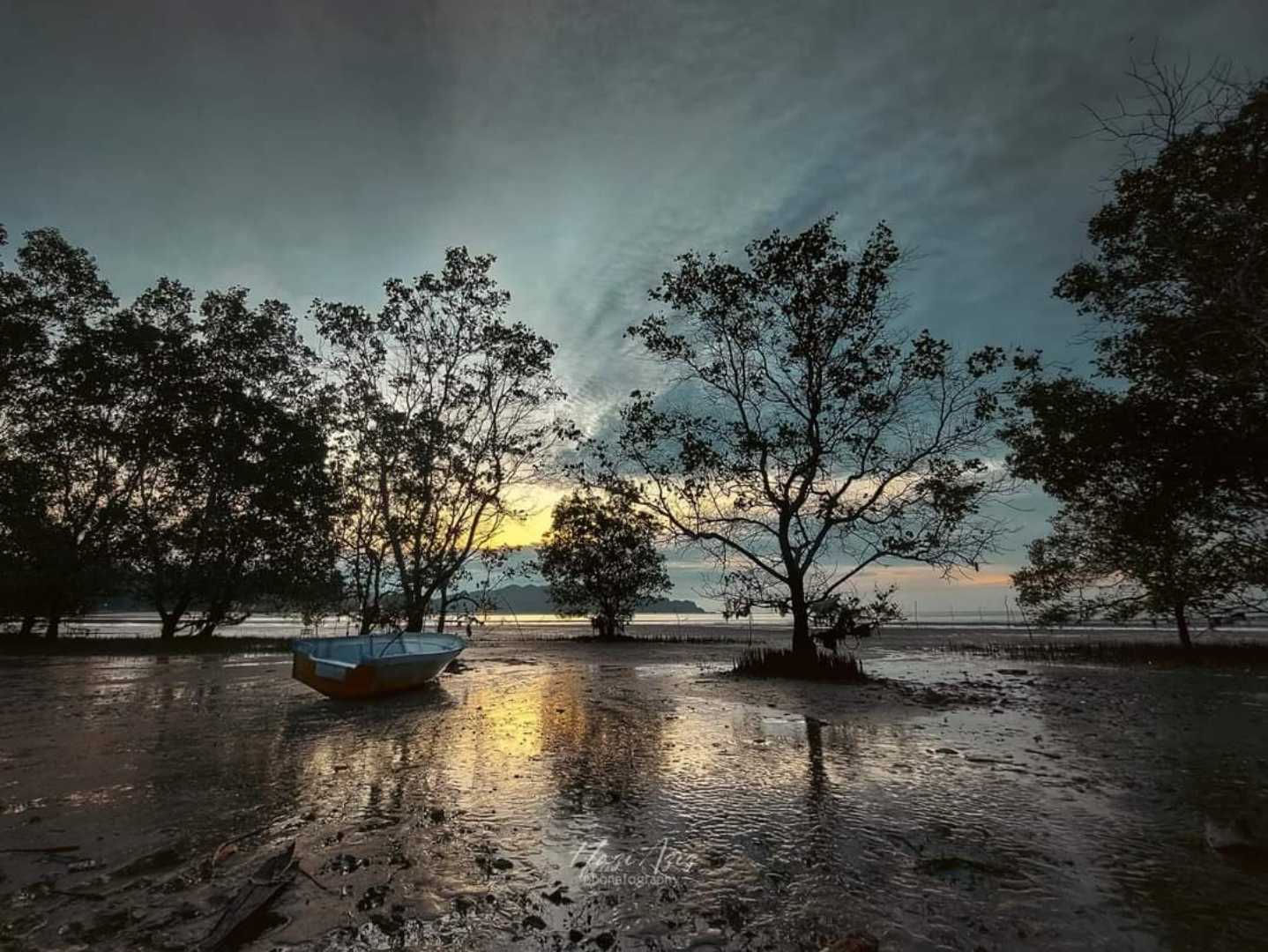 Terdampar