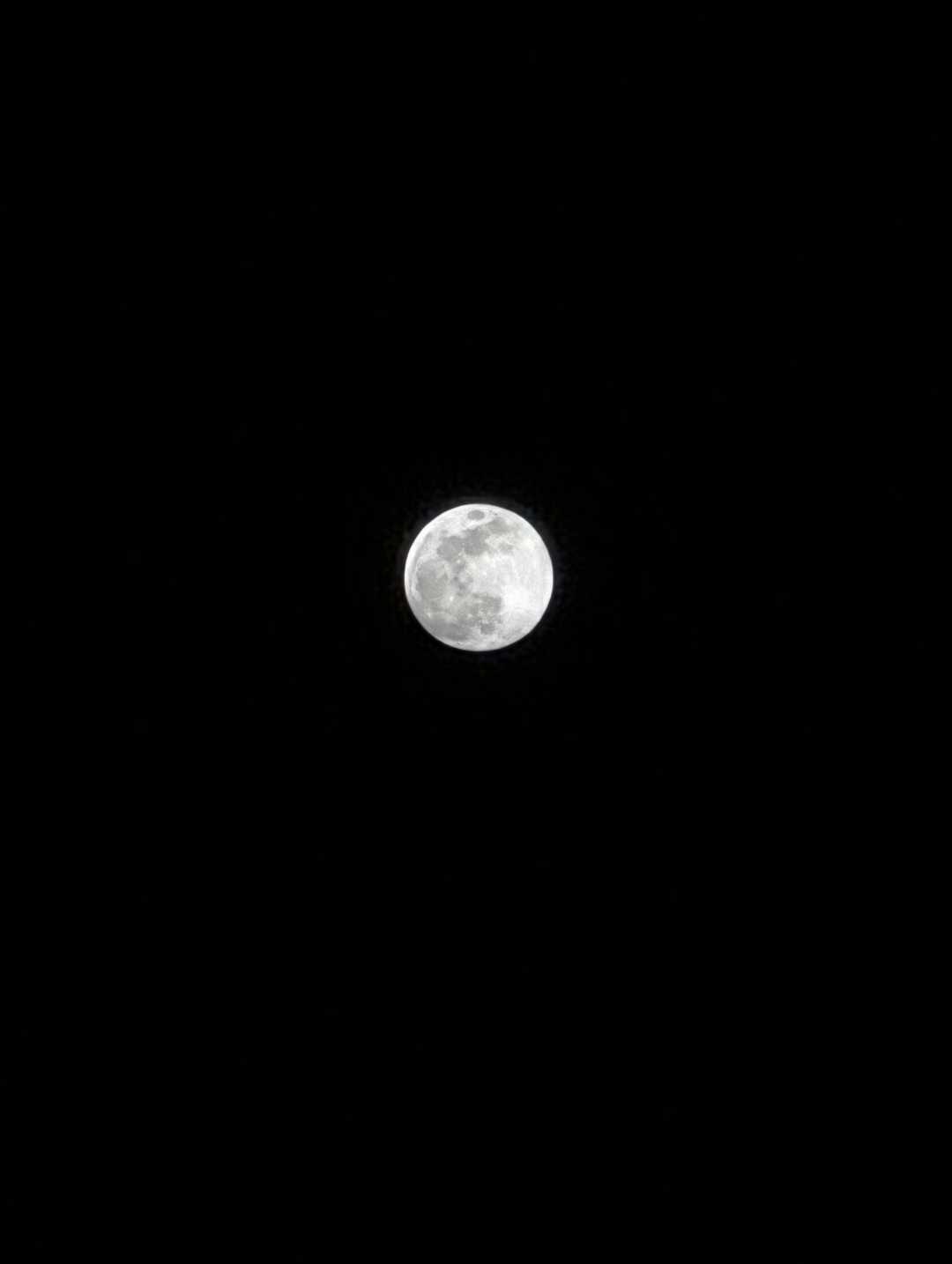 a new one 🌑