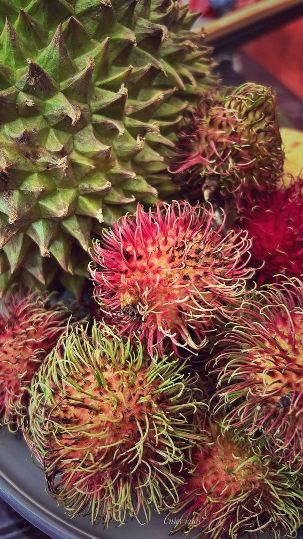 rambutan 