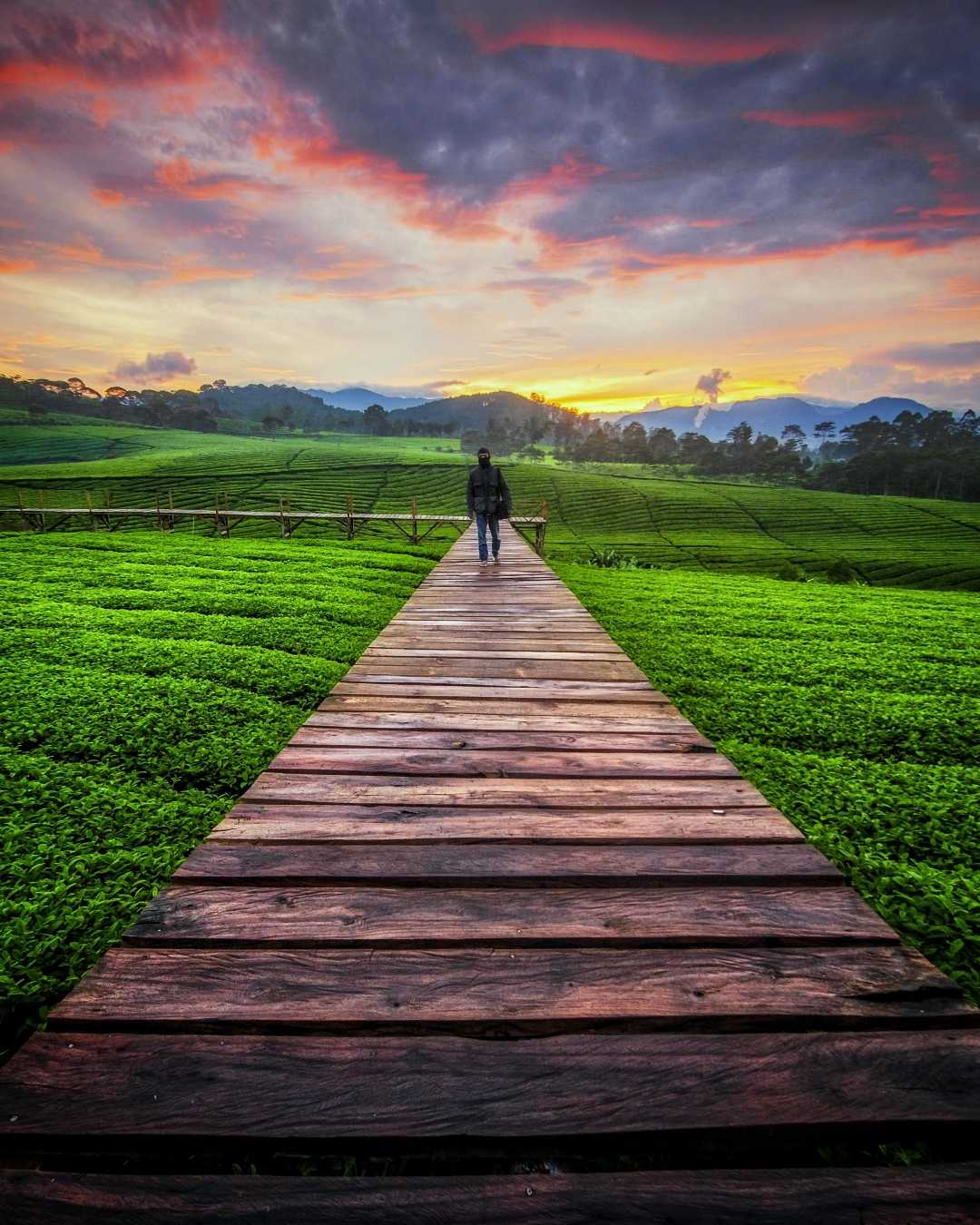 Jembatan Kayu Rigun