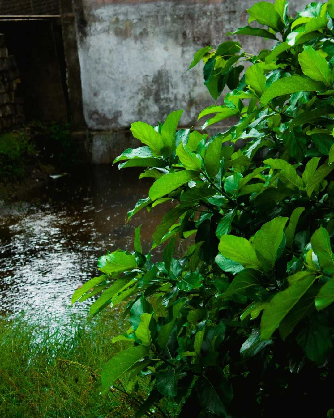 rainy days