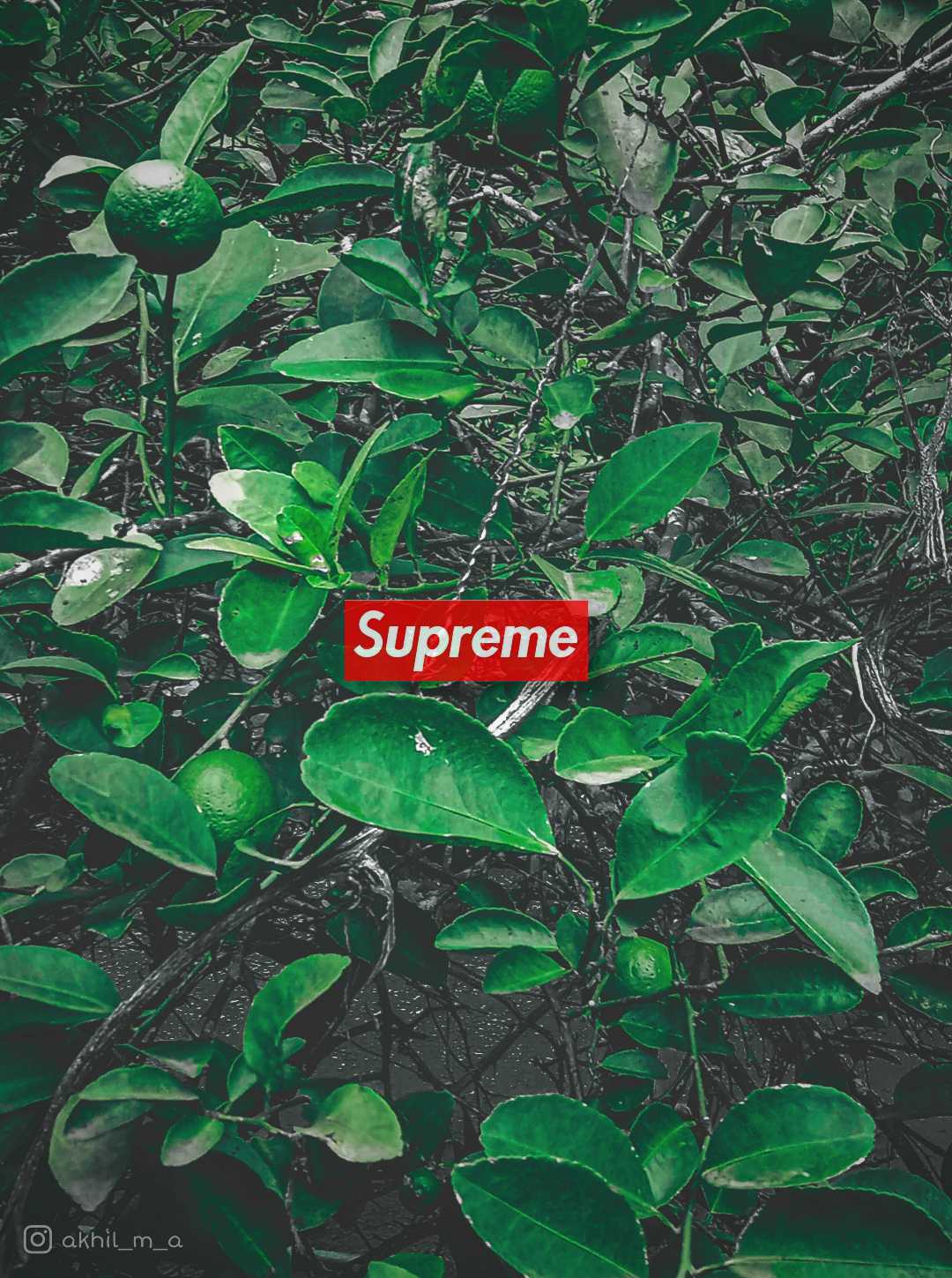 𝐒𝐔𝐏𝐑𝐄𝐌𝐄 ♥️