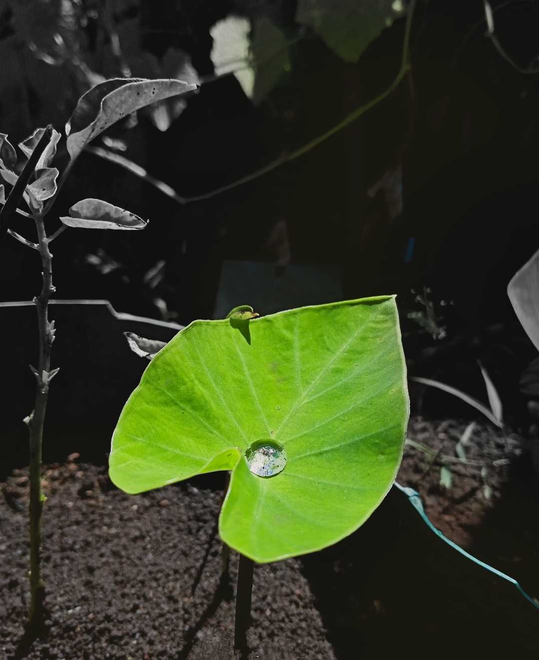 A drop of water 💧😌😚