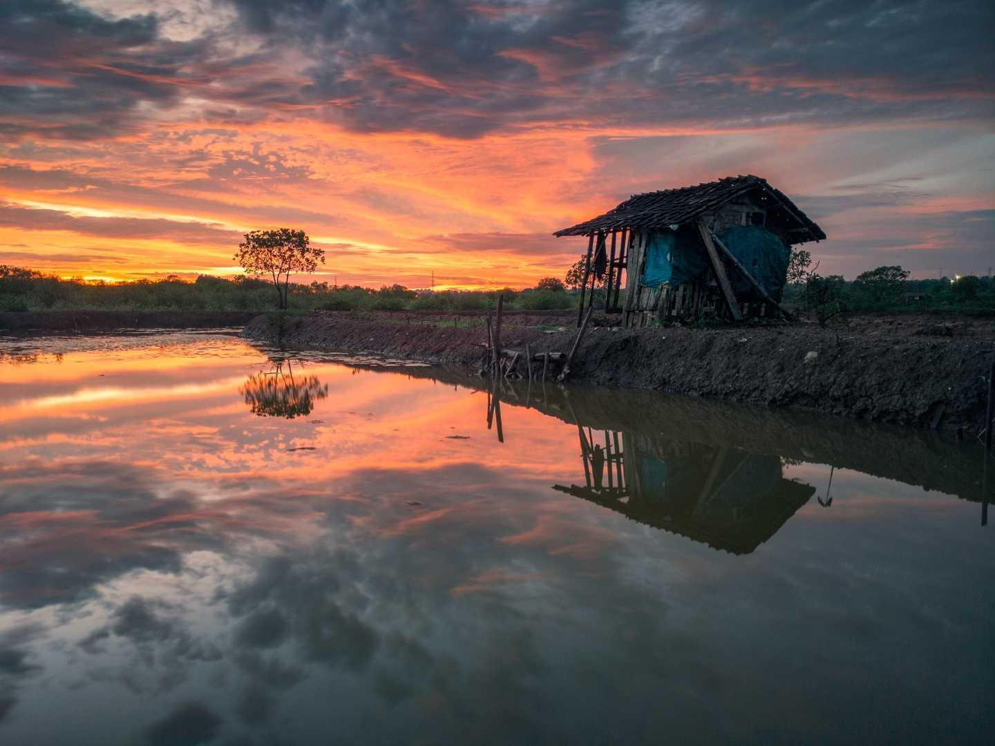 Budidaya Ikan Air Laut