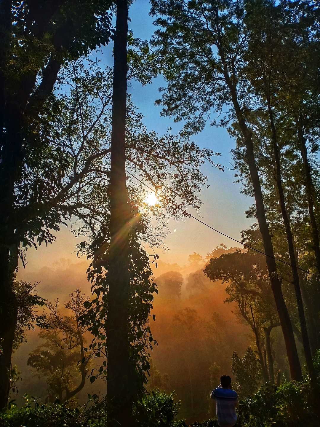 NATURE 