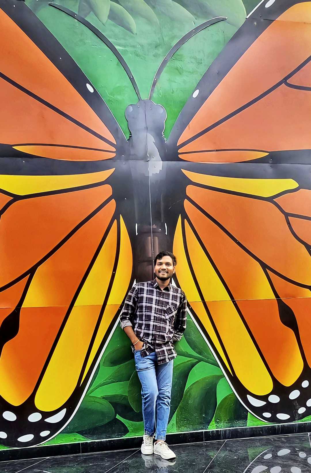 World of Butterflies 