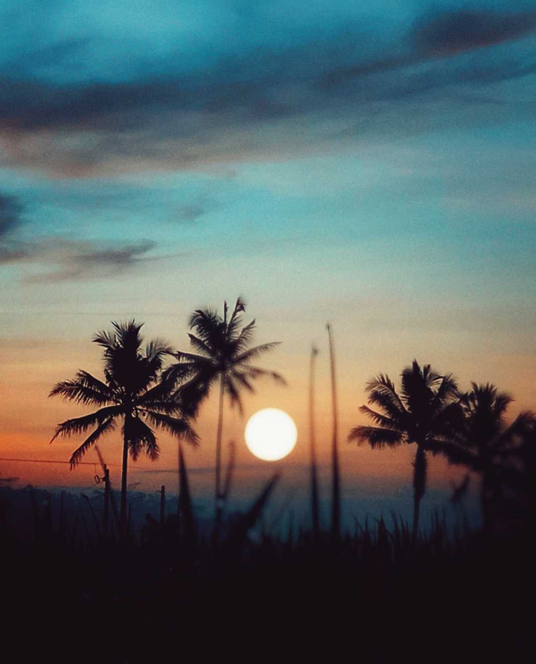 Matahari pagi