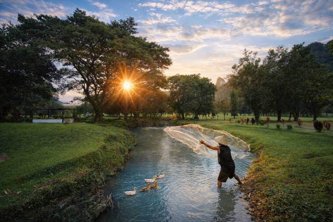Sunset
