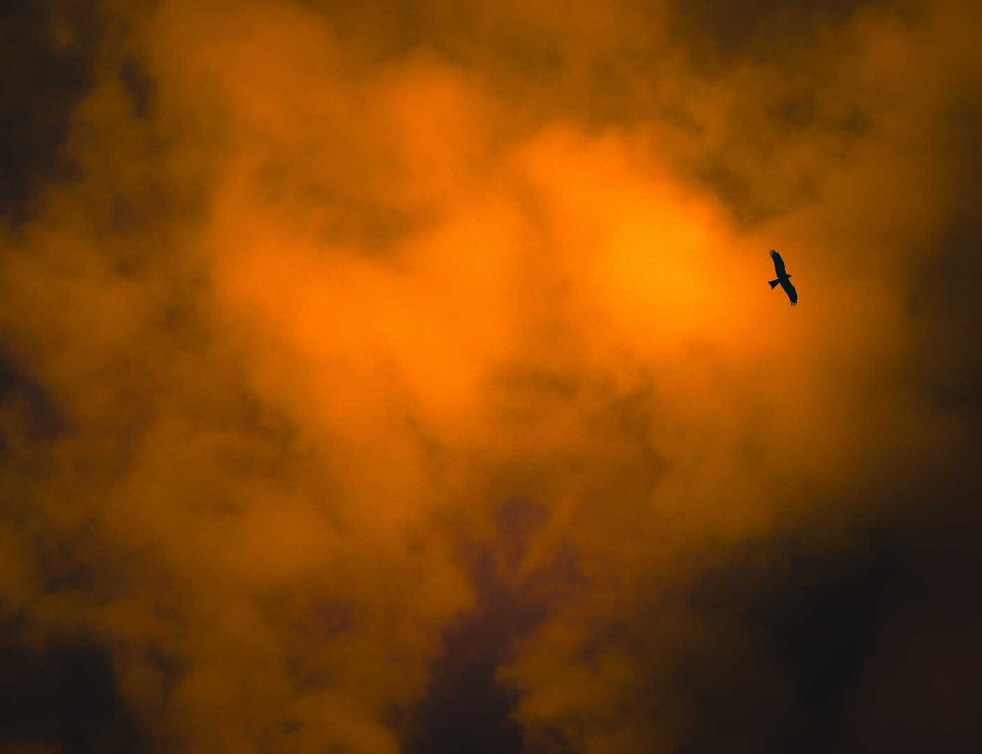 Chasing the Sunset 