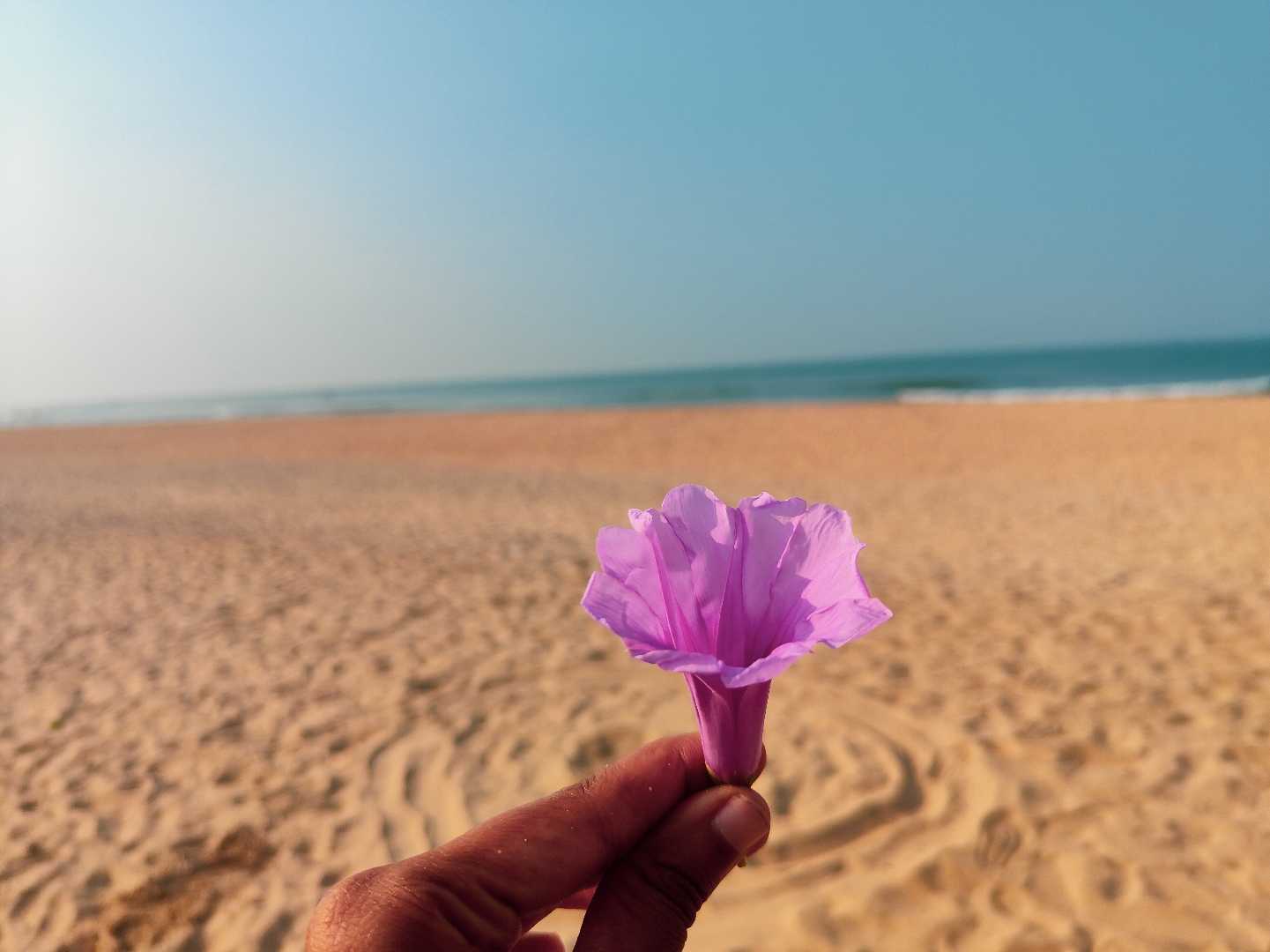 Beach vibes 😍