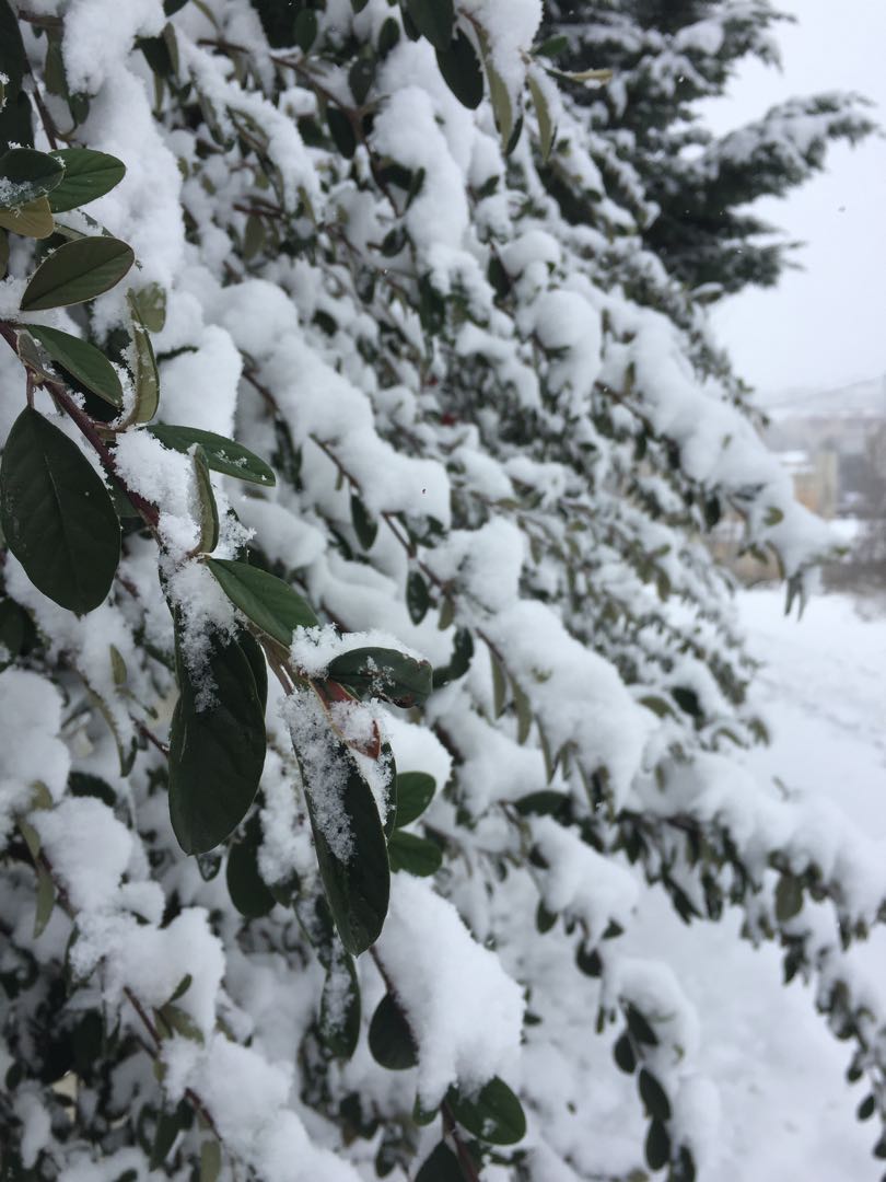❄️☃️