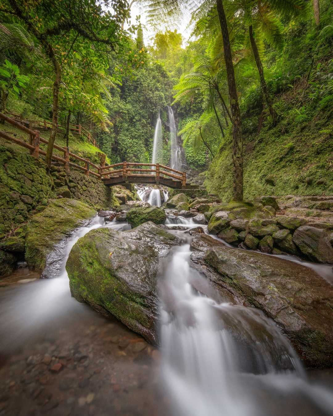 Jumog Waterfall 