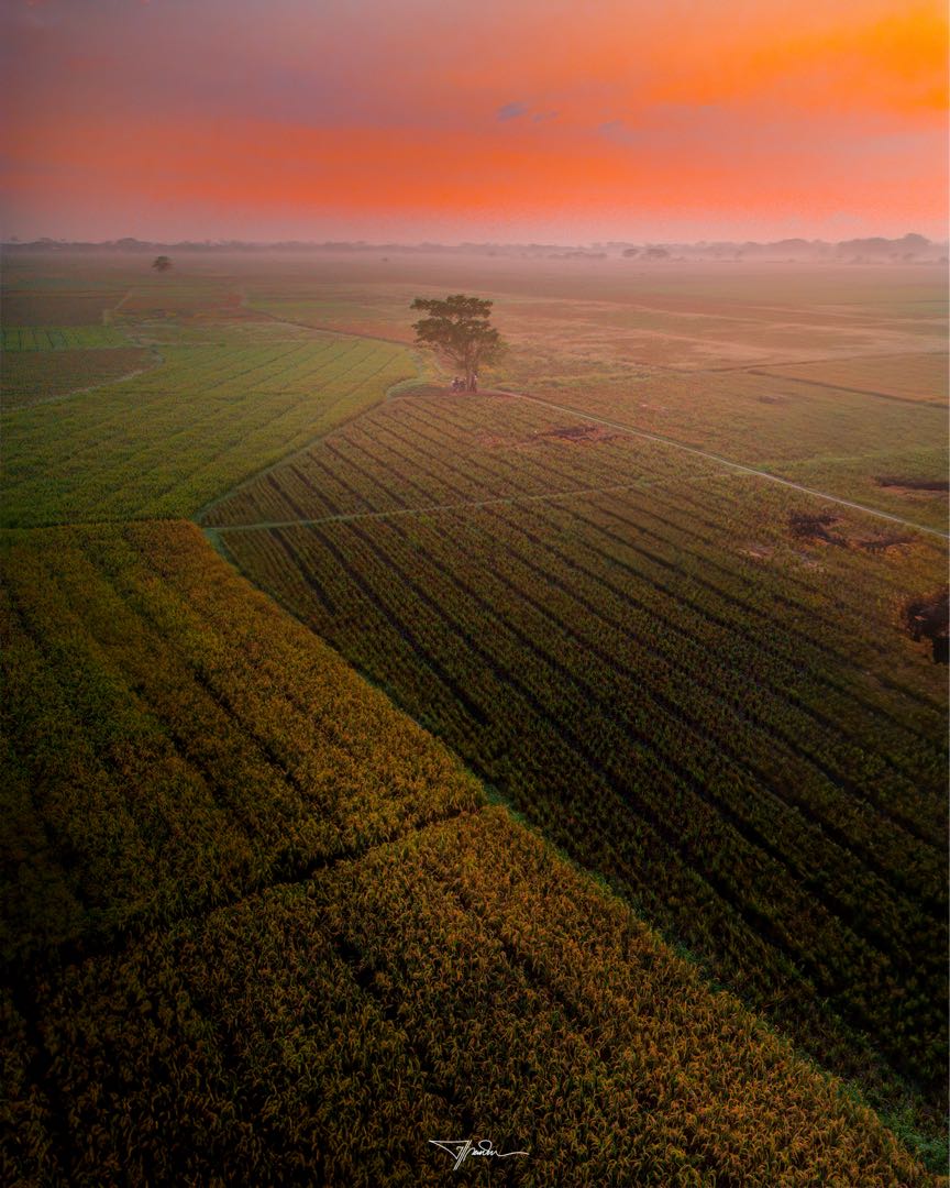 pemandangan sunrise
