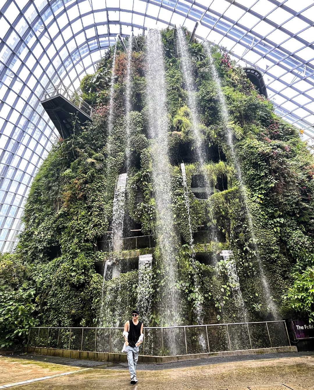 Cloud Forest @Singapore 